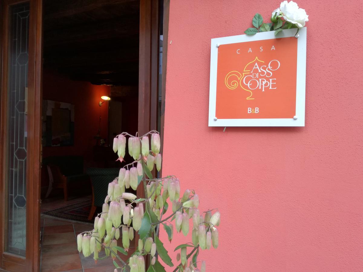 Casa Asso Di Coppe B&B Alba  Ngoại thất bức ảnh